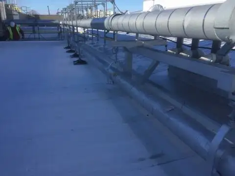 Multinational Bakery Facility, Hamilton