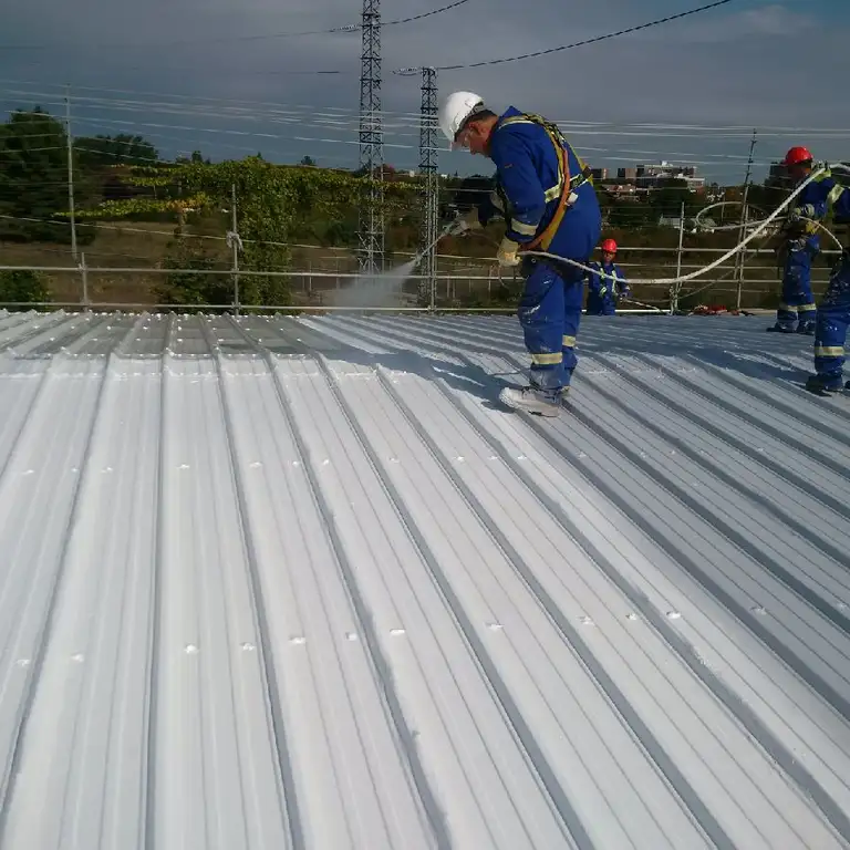 Metal Roof Restoration, Merivale